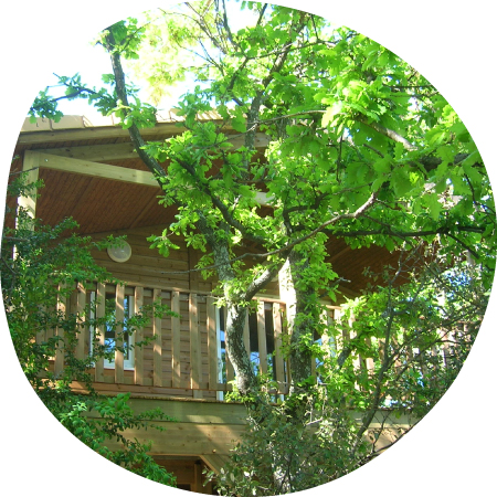 tree house