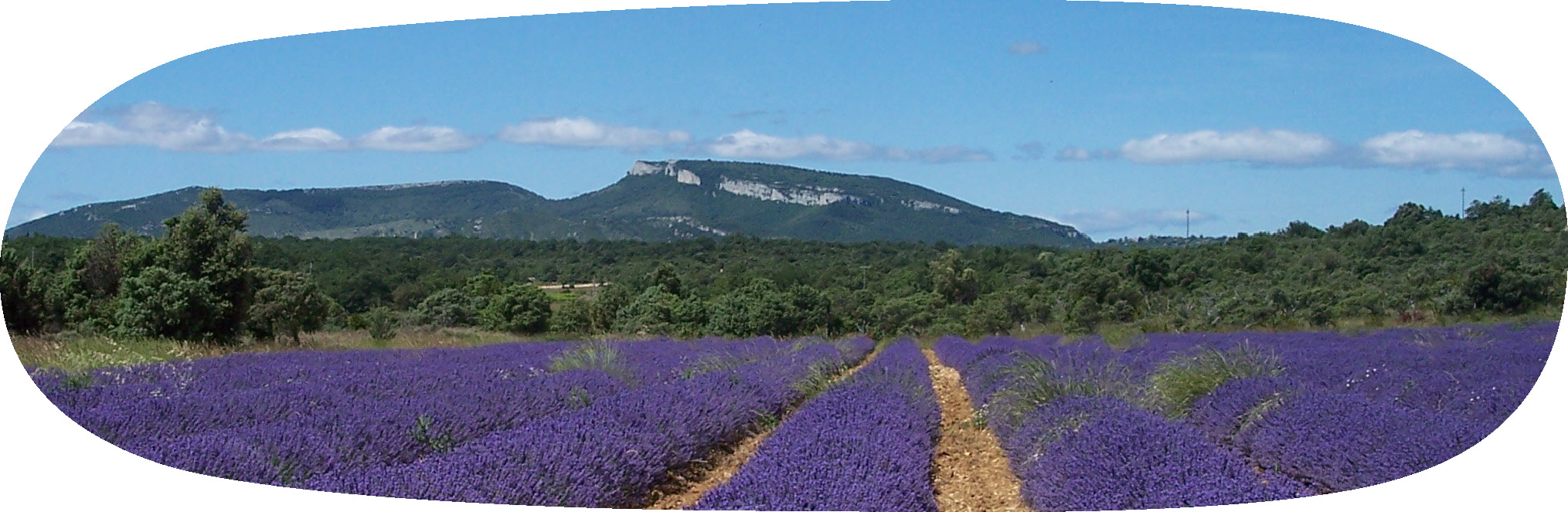 camping ardeche