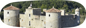 Chateau des Roure Magnanerie