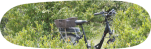 Vacances à vélo en Ardèche