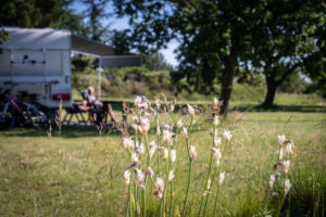 camping camping-car