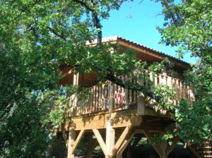cabane dans les arbres