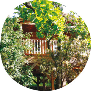 tree house