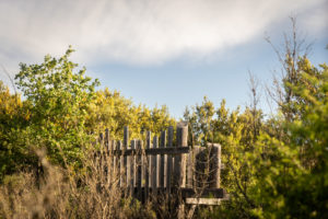 sentier aménagé : observatoire