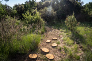 sentier aménagé : chemin pieds nus