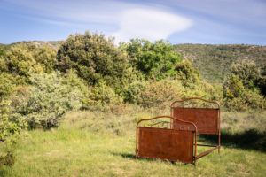 venez habiter la nature
