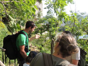 nature-related activities