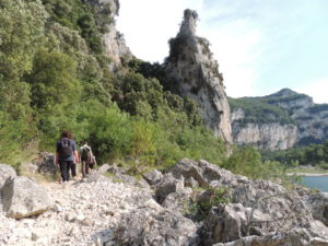 nature-related activities