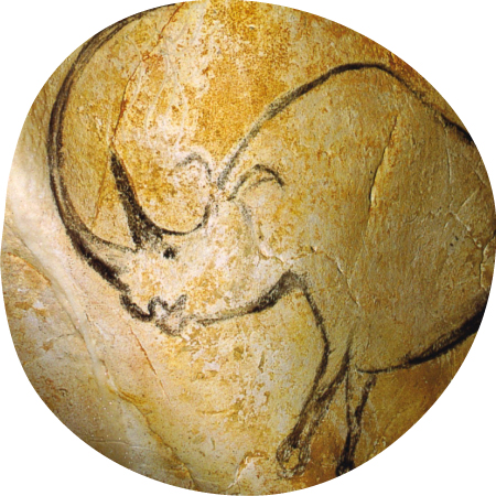 Chauvet cave