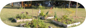 eco-friendly campsite