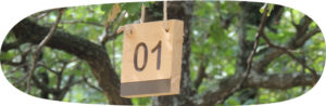 camping grands emplacements en Ardèche