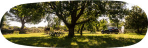 eco-friendly campsite