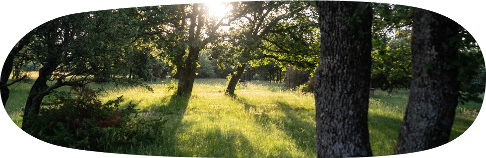 camping ardeche