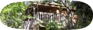 cabane dans les arbres - tree house