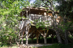 quirky accommodation