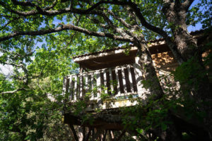 tree house
