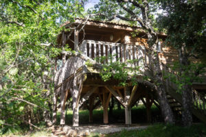 quirky accommodation