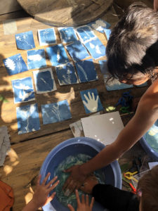 animation nature cyanotype