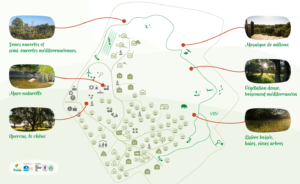 biodiversité d'Ardèche