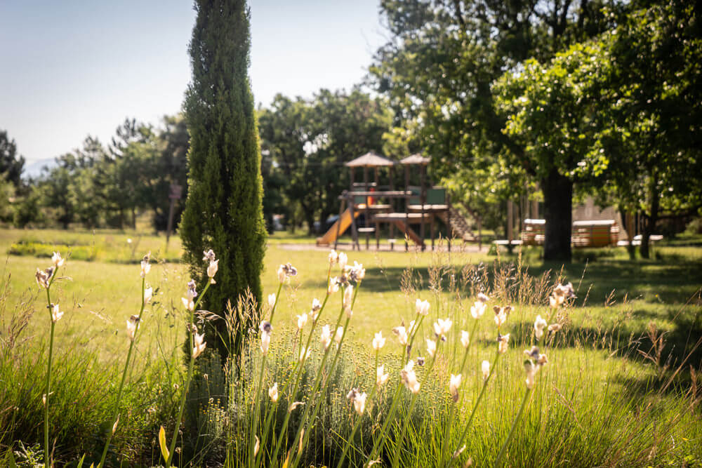 nature campsite in ardeche