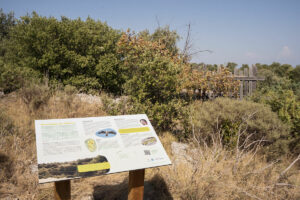 fitted path - wild life panels