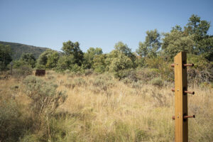 fiited path