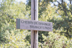 sentier aménagé