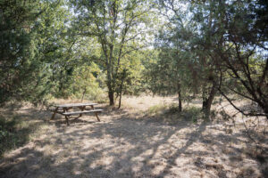 fitted path - picnic area